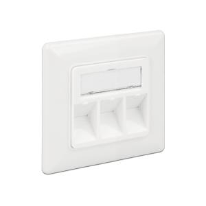DeLOCK Keystone Wall Outlet - Wanddose - Pure White, RAL 9010 - 3 Ports (86194)