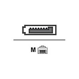 Alcatel-Lucent - Telefonadapter - SATA (M) Bis RJ-11 (M) (Packung Mit 10) - Fr Alcatel-Lucent 80XX, Premium DeskPhones 80XX, Premium DeskPhones S Seri