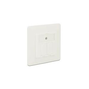 DeLOCK Keystone Wall Outlet - Wanddose - Pure White, RAL 9010 - 2 Ports (86219)