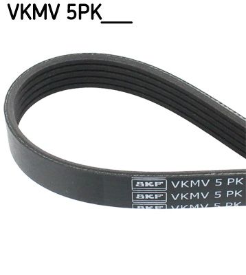 SKF V-ribbed Belt VKMV 5PK1253 1253 5 PEUGEOT: 306 Hatchback, Partner I Combispace, Partner I Van, CITROËN: Berlingo / Berlingo First I