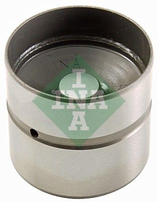 INA 420 0255 10 Tappet