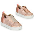 Lage Sneakers Acebo's  5330-RAME