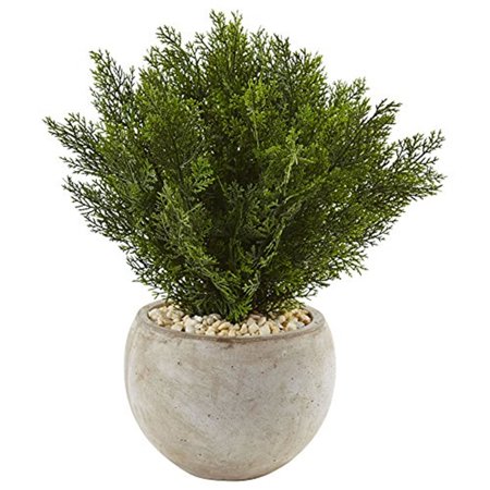 2' Cedar in Sand-Colored Bowl by Nearly Natural