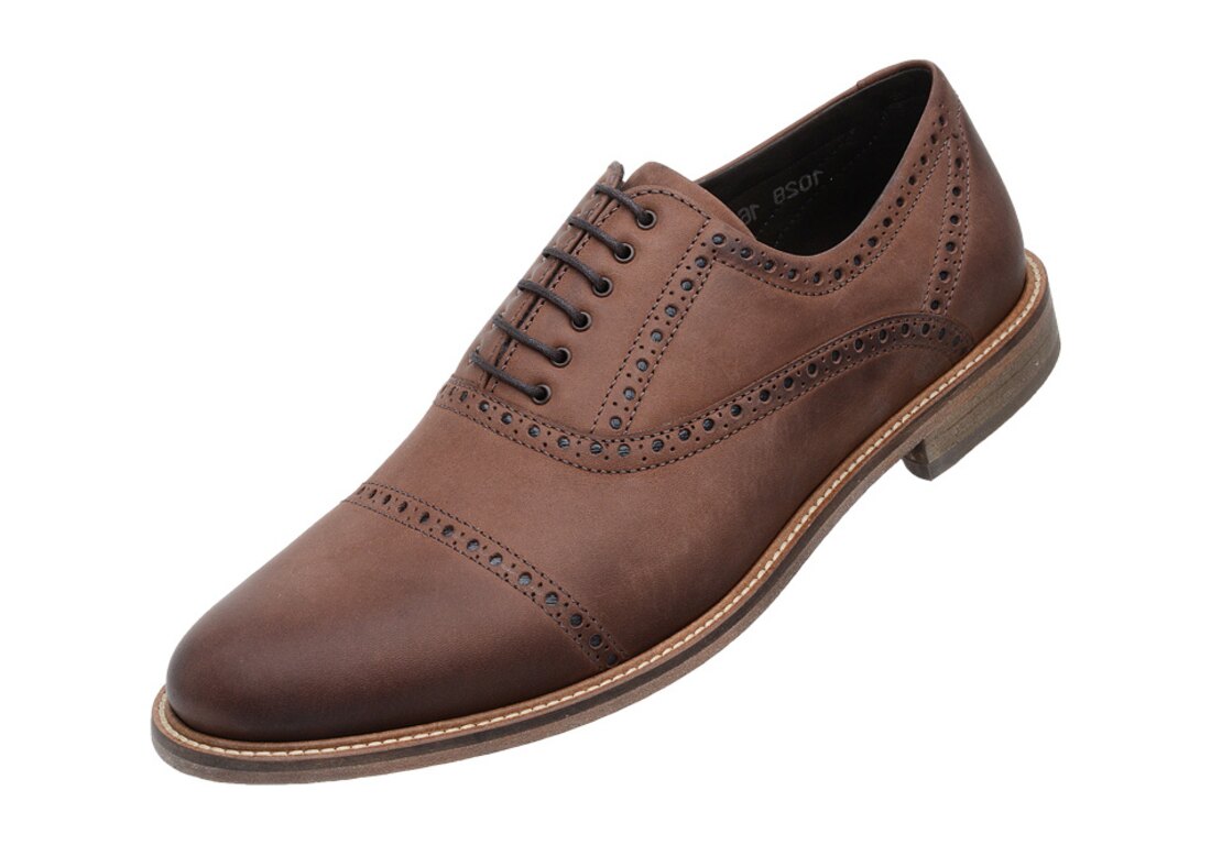 Oxford Scatamacchia Brogue Chocolate 1021 Multicolorido