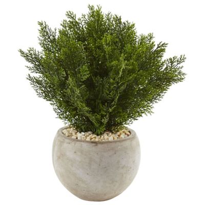 Adding the Look of Nature with Carefree Convenience to Your Home or Office, the Cedar in Sand Colored Bowl from Nearly Natural Never Needs Watering or