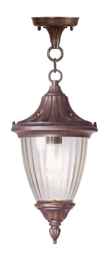 Livex Lighting 7786-58 Townsend 1 Light Outdoor Chain Hang, Imperial Bronze