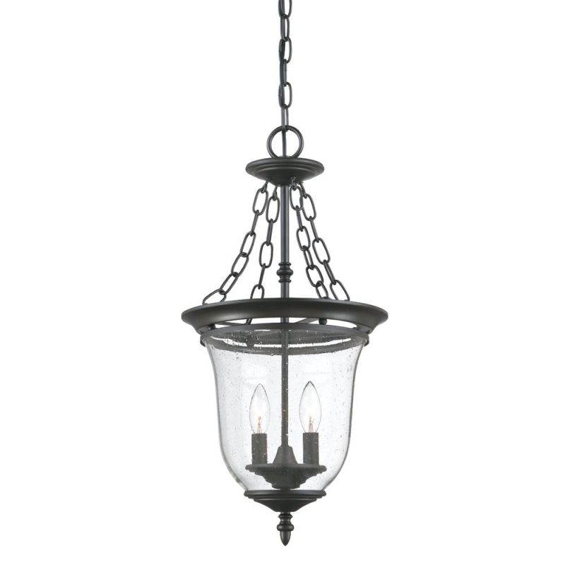 Acclaim Lighting 9306 Acclaim Lighting 9306 2 Light Pendant Matte