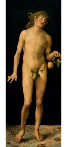 Adam, 1507 by Albrecht Drer Framed Art Print Magnolia Box