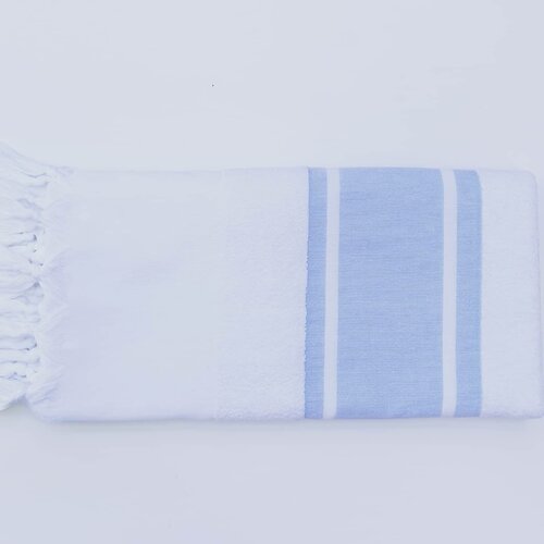 Wyman Quick Dry Beach Towel Single House of Hampton Colour: Blue/White