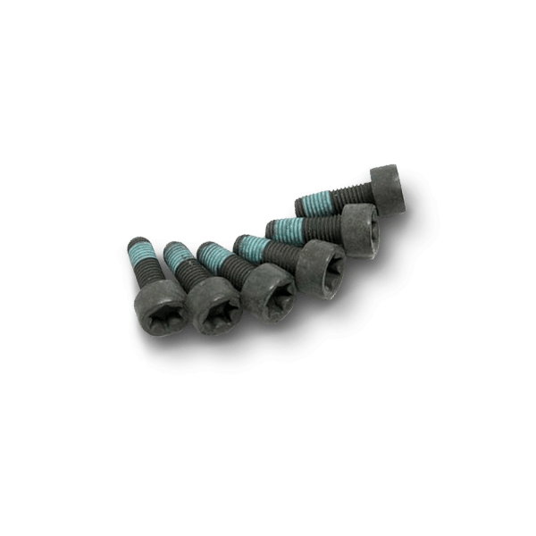 LuK 411 0255 10 Screw Set, Flywheel