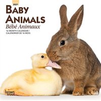 2021 Mini Calendar Baby Animals (bilingual)