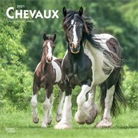2021 Wall Calendar Horses (in French)