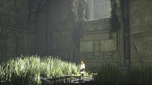 PS4 - the LAST GUARDIAN - PlayStation 4