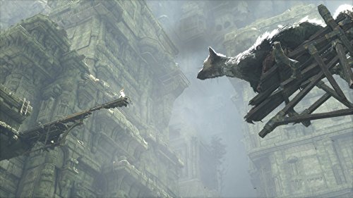 PS4 - the LAST GUARDIAN - PlayStation 4 thumbnail