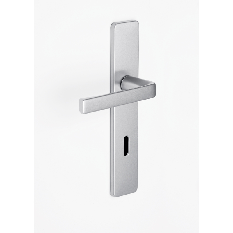 Ensemble KAZA - Plaque 220 X 42 Mm - Entraxe De Fixation 195 Mm - Argent - 1364/6331 Cle L - VACHETTE