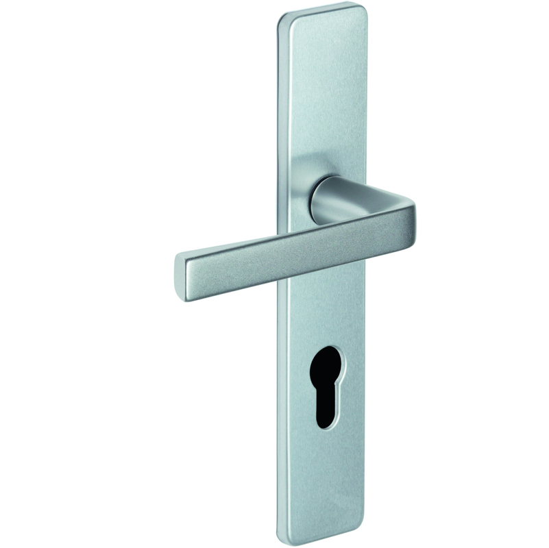 Ensemble KAZA - Plaque 220 X 42 Mm - Entraxe De Fixation 195 Mm - Argent - 1364/6331 Cle I - VACHETTE