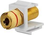 Rutenbeck KMK-LS Sw Rw - Snap-in-Modul (Keystone) - Banana - Pure White, RAL 9010 (17000608)