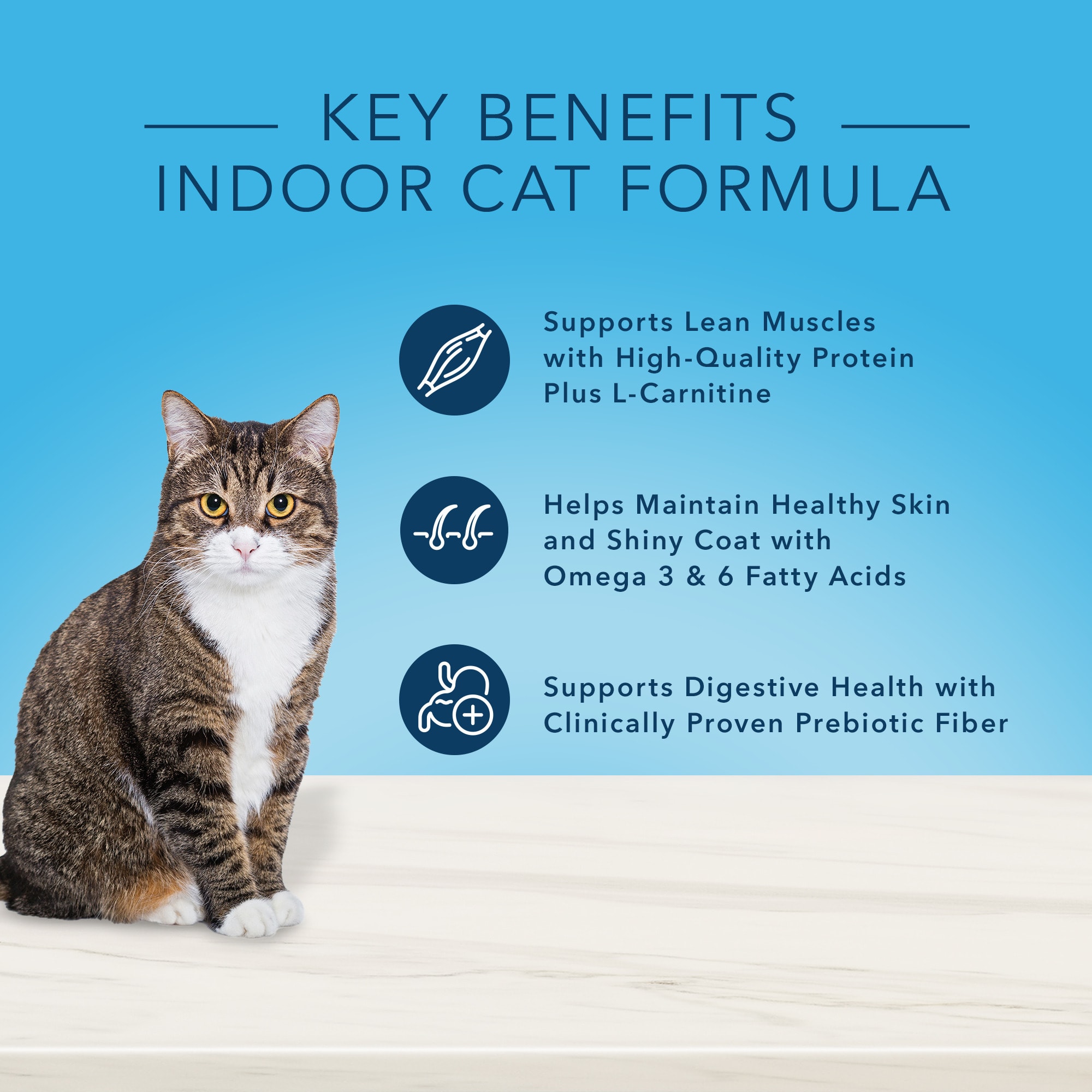 Blue Buffalo True Solutions Fab Feline Dry Cat Food Indoor Cat Formula  Chicken  3.5 Lbs thumbnail