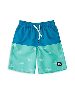 Quiksilver Boys' Magic Five Volley Swim Trunks - Little Kid