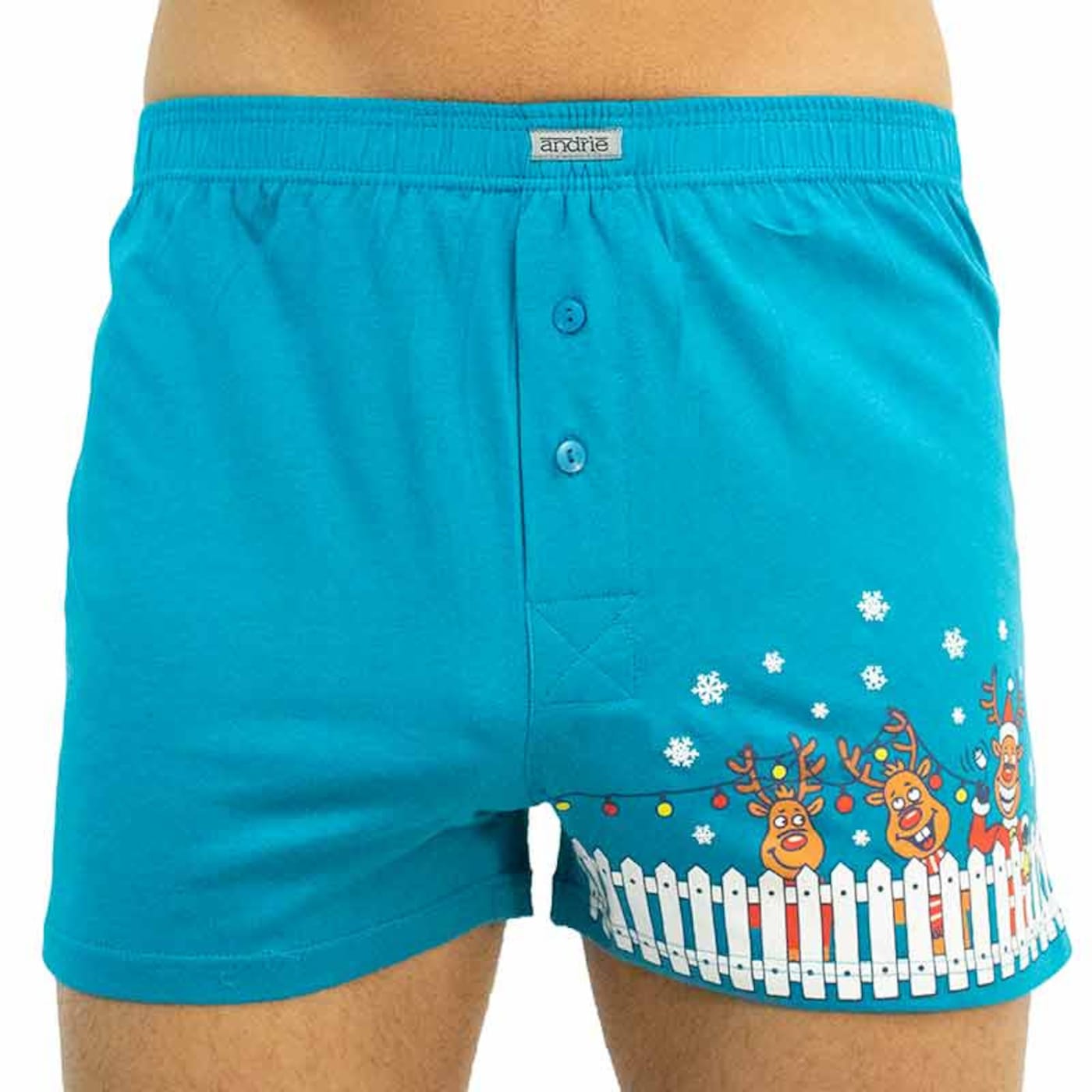 Men's Shorts Andrie Turquoise (PS 5513 C)