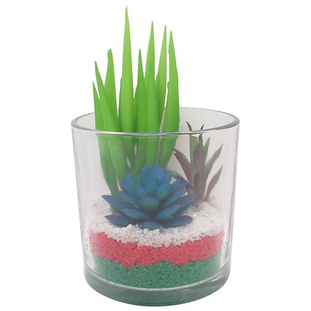 Festive Voice Layered Sand Succulent - 1.0 Ea