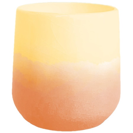 Festive Voice Home Fragrance Candle Mango Goji Berry - 1.0 Ea