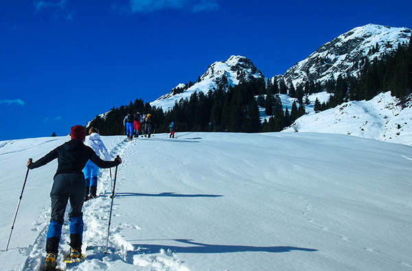 Schneeschuhtour Mit LVS-Training thumbnail
