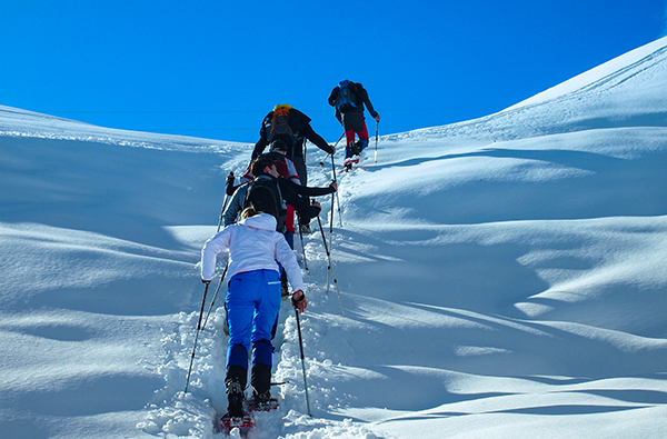 Schneeschuhtour Mit LVS-Training thumbnail