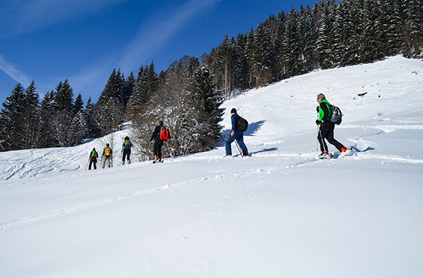 Schneeschuhtour Mit LVS-Training thumbnail