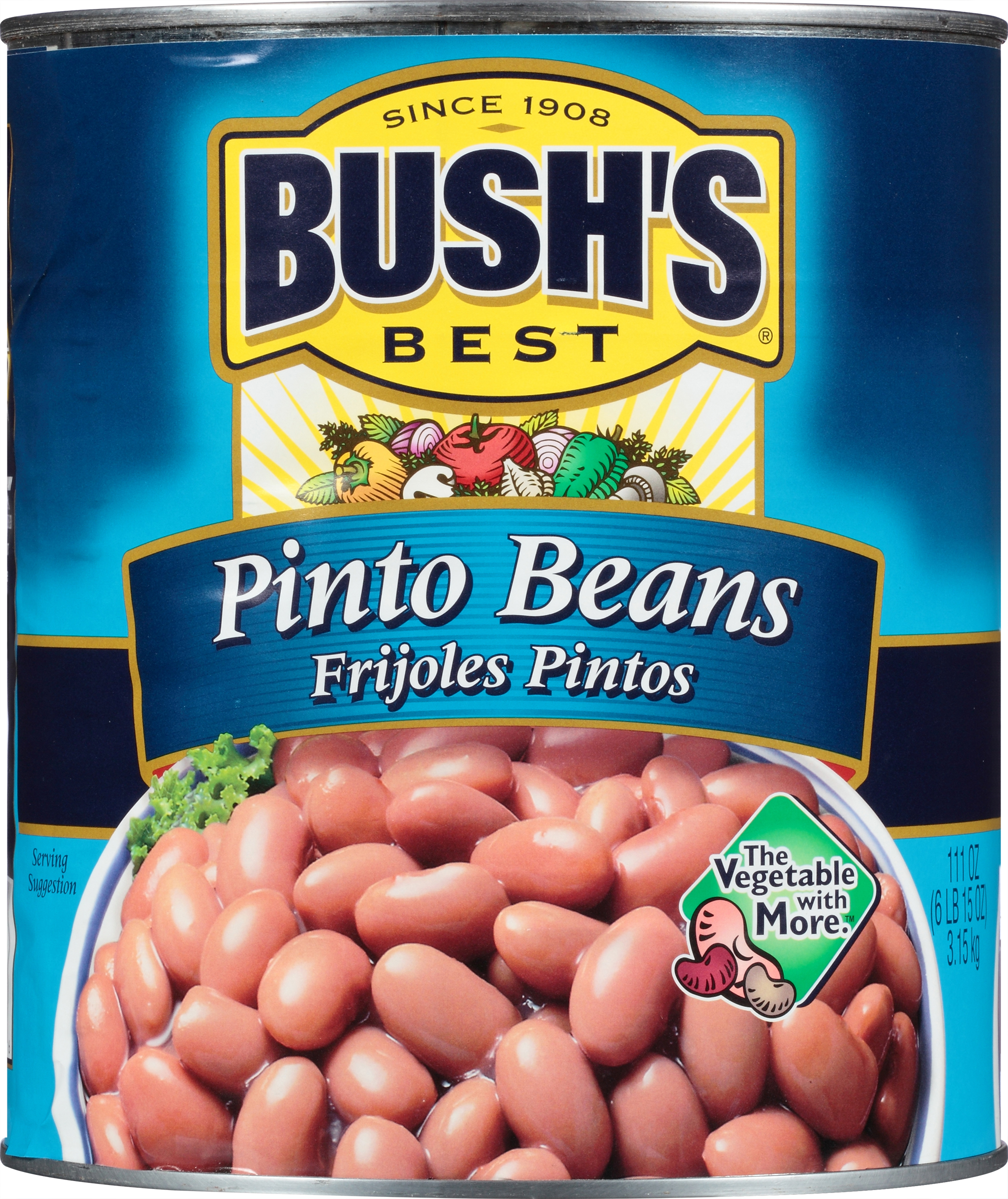 Bush's Best Fancy Pinto Beans #10 Can, PK6