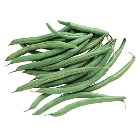 Burpee Blue Lake 274 Bush Bean Seeds 8 Ounces of Seed