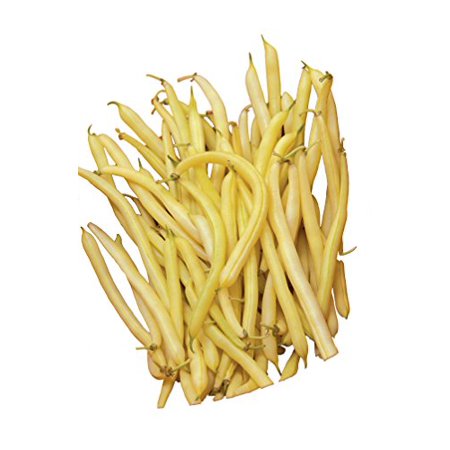 Burpee Golden Wax Organic Bush Bean Seeds 1 Ounces of Seed