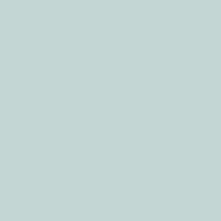 Pantone Smart Swatch 13-4804 Pale Blue