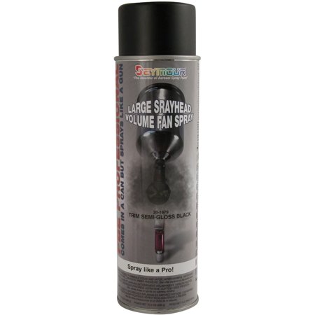 20-1679 PBE Professional Trim Spray Paint  Semi-Gloss Black