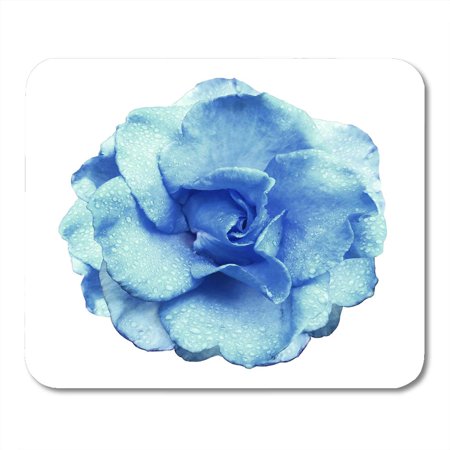 SIDONKU Turquoise Rose Flower on White with Clipping Path No Shadows with Drops of Water the Petals Closeup Mousepad Mouse Pad Mouse Mat 9x10 Inch
