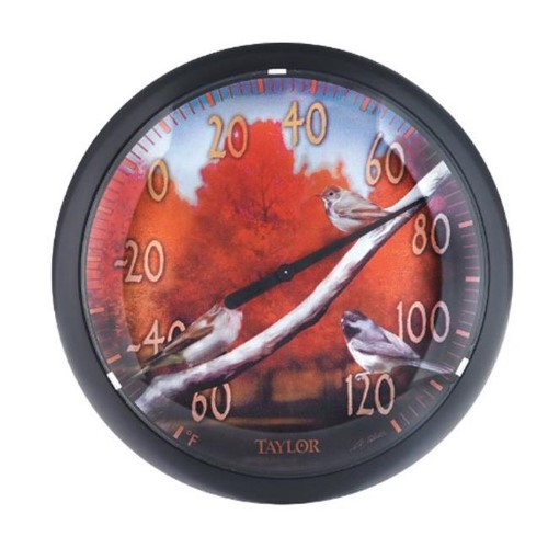 Taylor Bird Design Dial Thermometer Plastic Multicolored