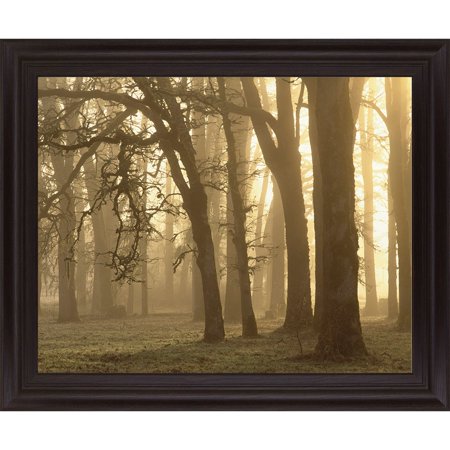 28 in. X 34 in. 