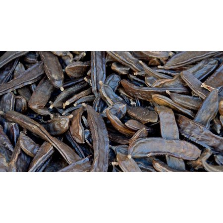 Vegetables Bush Bean Bean Market Dried Wrinkled-20 Inch by 30 Inch Laminated Poster with Bright Colors and Vivid Imagery-Fits Perfectly in Many Attrac