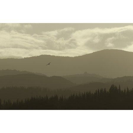 Bird Flying Telephoto Golden Hour Mountain Layers-20 Inch by 30 Inch Laminated Poster with Bright Colors and Vivid Imagery-Fits Perfectly in Many Attr