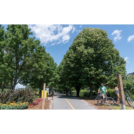 Waterfront Vermont Bike Path Water Burlington-20 Inch by 30 Inch Laminated Poster with Bright Colors and Vivid Imagery-Fits Perfectly in Many Attracti
