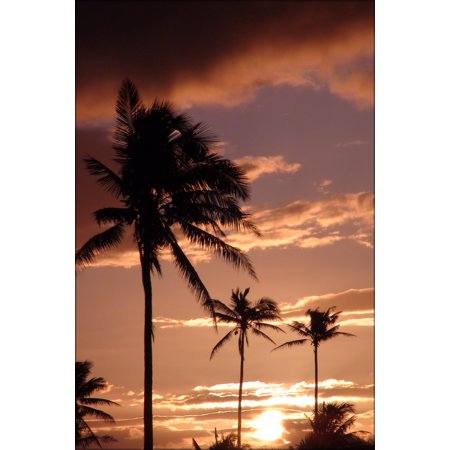 24 X36  Gallery Poster  Tropical Fantasy Palm Trees with Sunset