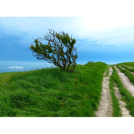 Canvas Print Hiking Path Sea Away Tree Trail Nature Water Stretched Canvas 10 X 14