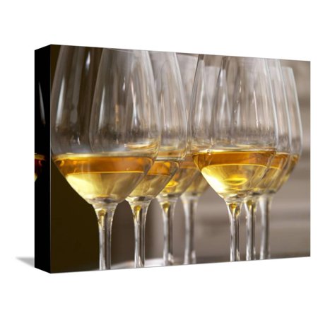 Wine Tasting Glasses with Golden Sweet White Wine from Uroulat Jurancon Charles Hours  France  Stretched Canvas Wall Art by per Karlsson Sold by Art.C