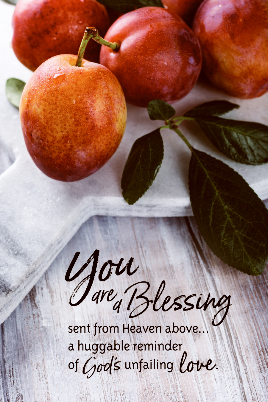 Plaque-Organic Brights-You Are a Blessing (6  X 9 )