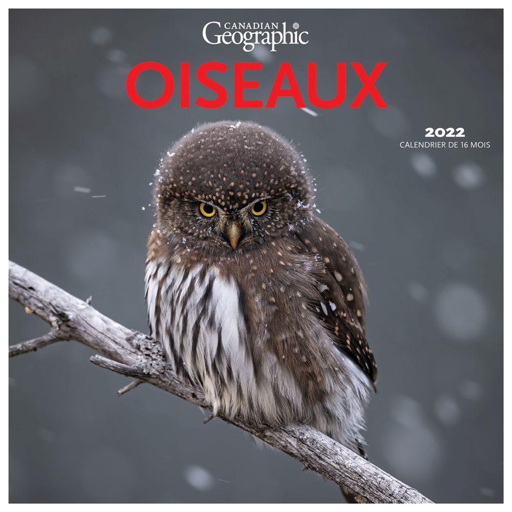 Canadian Geographic Oiseaux 2022 Wall Calendar