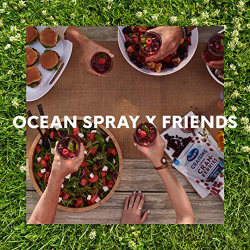 Ocean Spray, 100% Juice Cranberry Pineapple No Sugar Added, 64 Oz (Case of 8) thumbnail