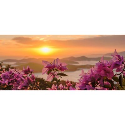Paddle Through the Calm, Glimmering Waters of St. Thomas' Mangrove Lagoon During Golden Hour on This Sunset Caribbean Kayak Tour. Guided 1.5-hour