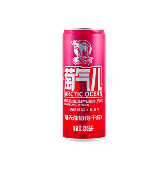ARCTIC OCEAN Sparkling Water Red Wine Flavor 310ml