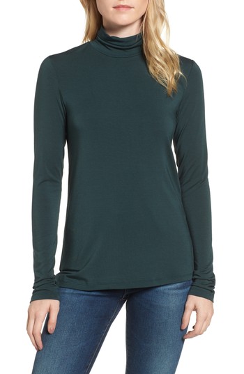 Women's Amour Vert 'Flannery' Stripe Stretch Jersey Turtleneck, Size Large - Green