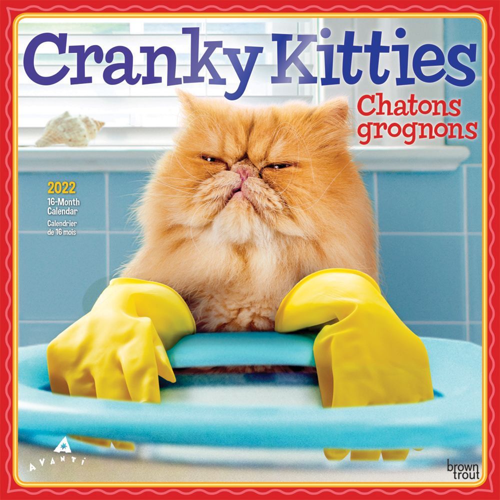 2022 Wall Calendar Cranky Kitties (in French)